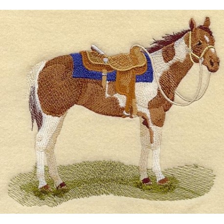 osedlaný kůň