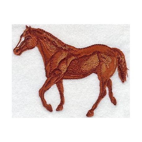 jezdecký kůň Quarter Horse