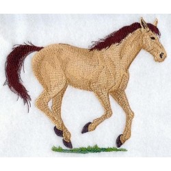 jezdecký kůň Quarter Horse