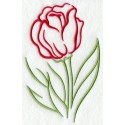tulipán - obrys
