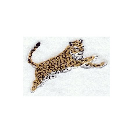 leopard ve skoku